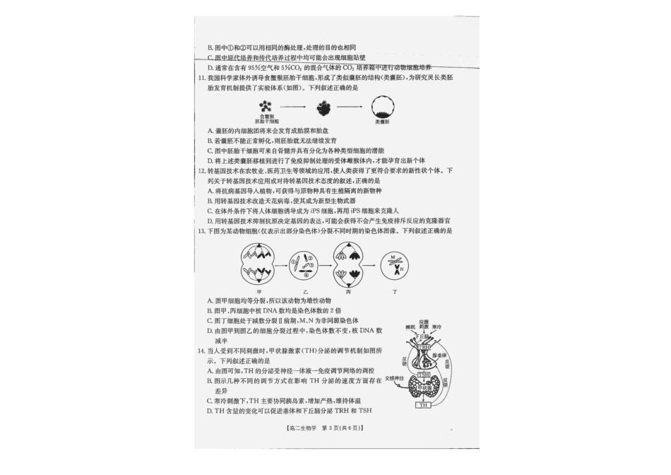 广西部分学校2024-2025学年高二下学期6月联合摸底考试生物试卷（含答案）.pdf_第2页