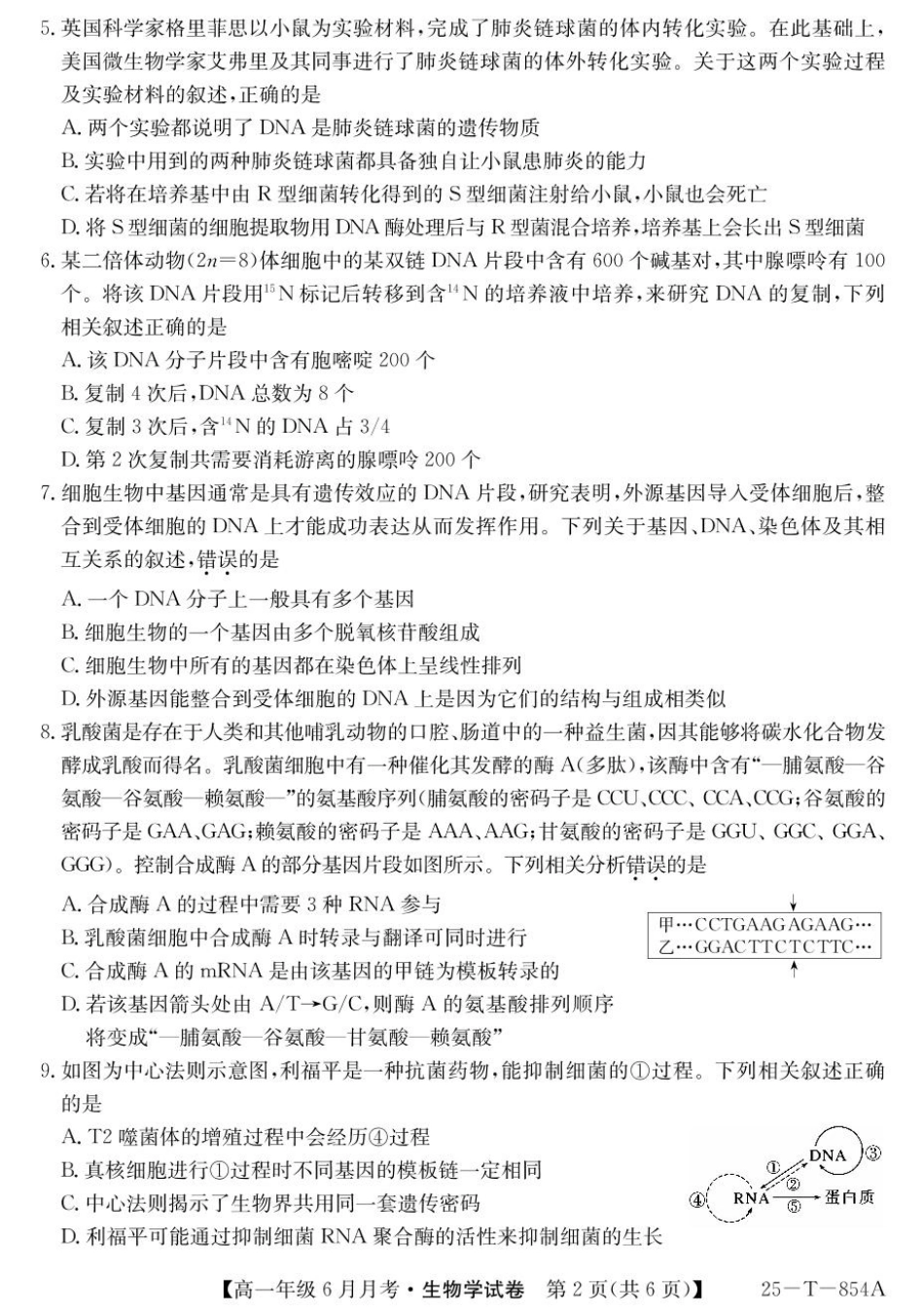 河北省部分高中2024-2025学年高一下学期6月期末生物试题.pdf_第2页