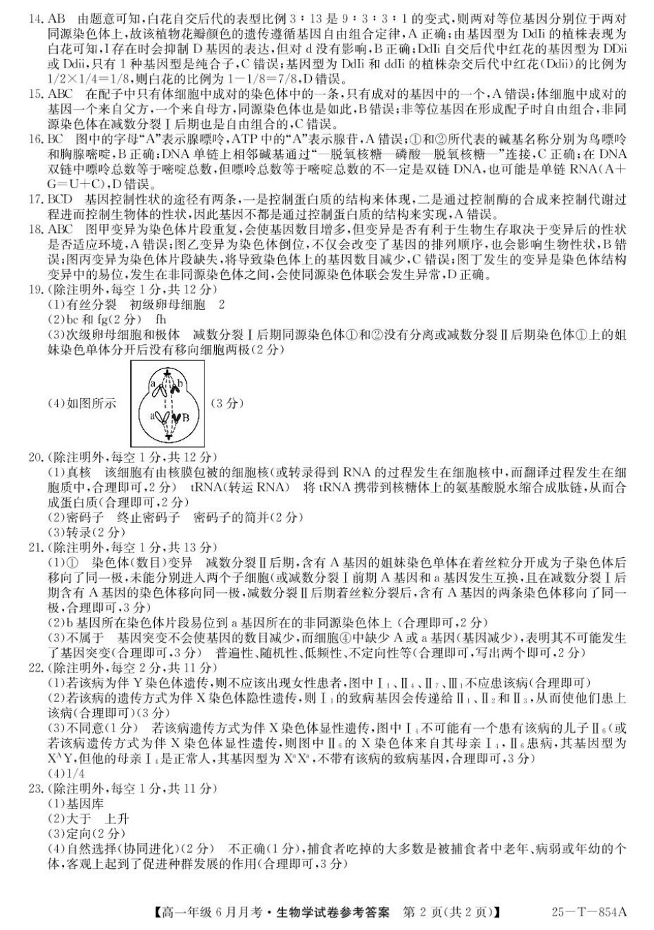 河北省部分高中2024-2025学年高一下学期6月月考生物答案.pdf_第2页