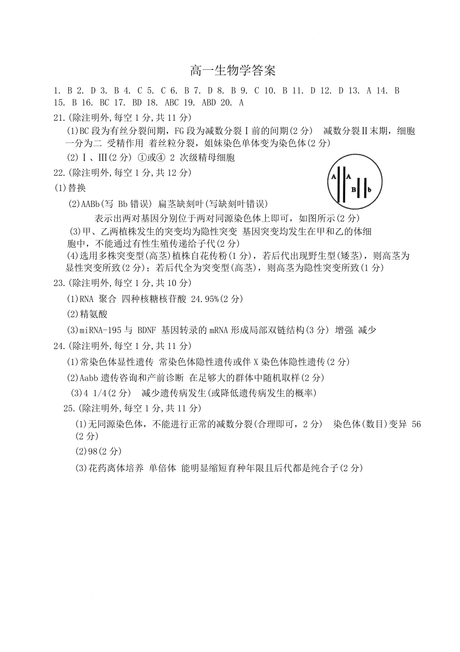 河北省廊坊市部分高中2024-2025学年高一下学期5月期中考试生物答案.pdf_第1页