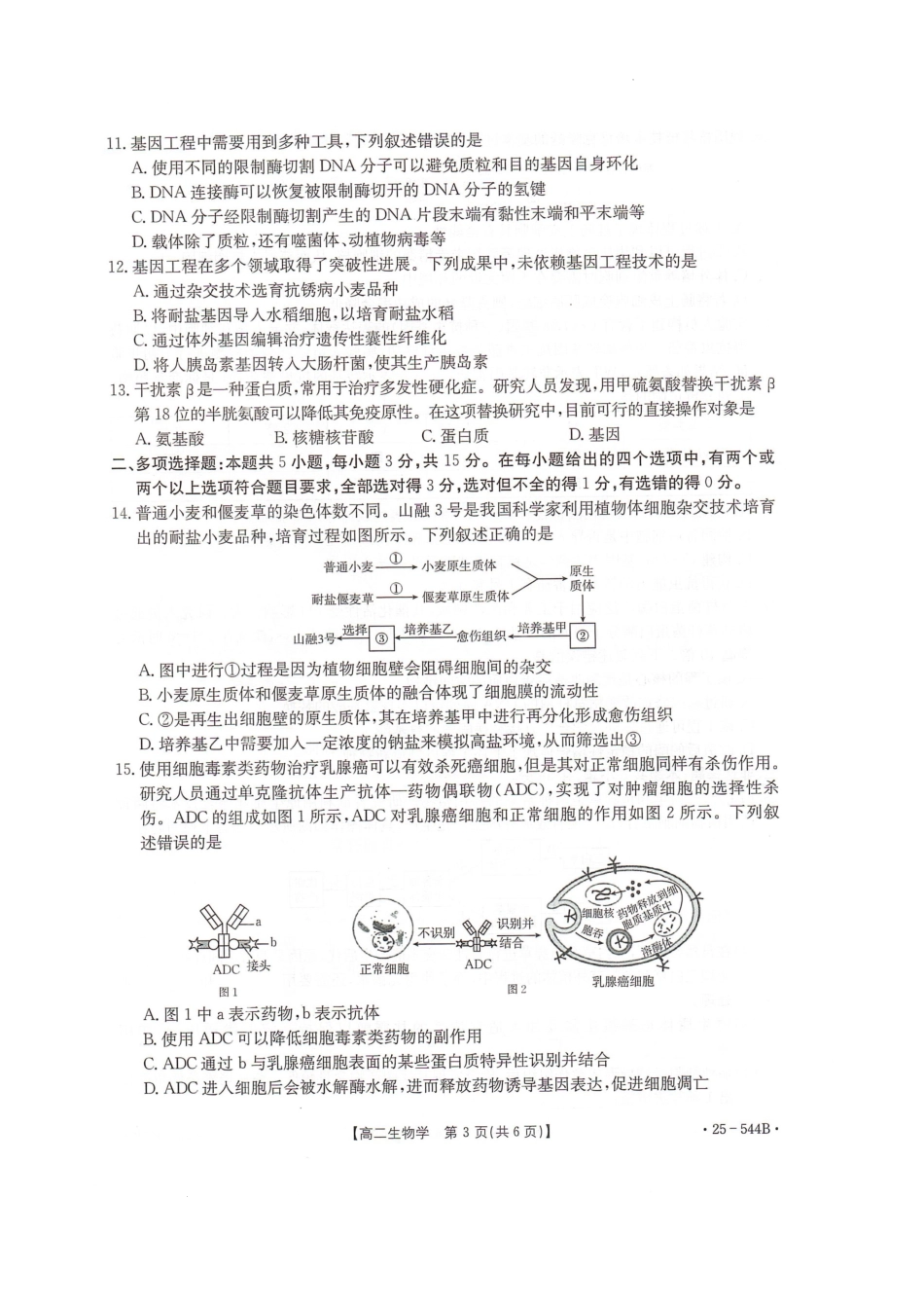 河北省邢台市卓越联盟2024-2025学年高二下学期6月月考生物试题.pdf_第3页