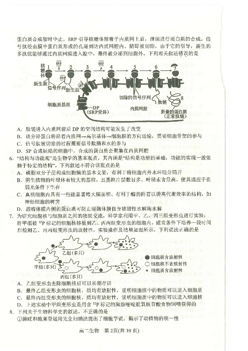 河南省南阳市2024春期年高二下学期7月期末(终)质量评估生物试卷.pdf_第2页