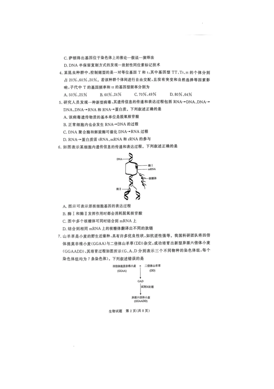 河南省青桐鸣2024-2025学年高一下学期6月联考生物试题.pdf_第2页