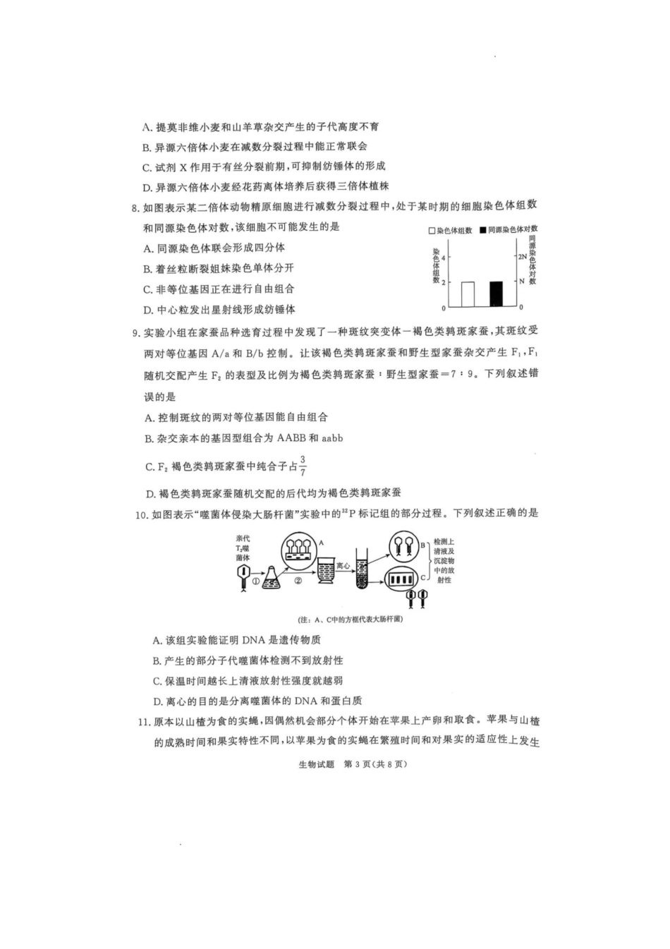 河南省青桐鸣2024-2025学年高一下学期6月联考生物试题.pdf_第3页