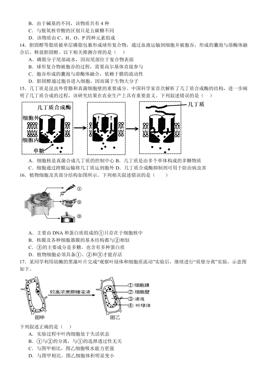 河南省驻马店市新蔡县第一高级中学2024-2025学年高二下学期6月月考生物试题（含答案）.pdf_第3页
