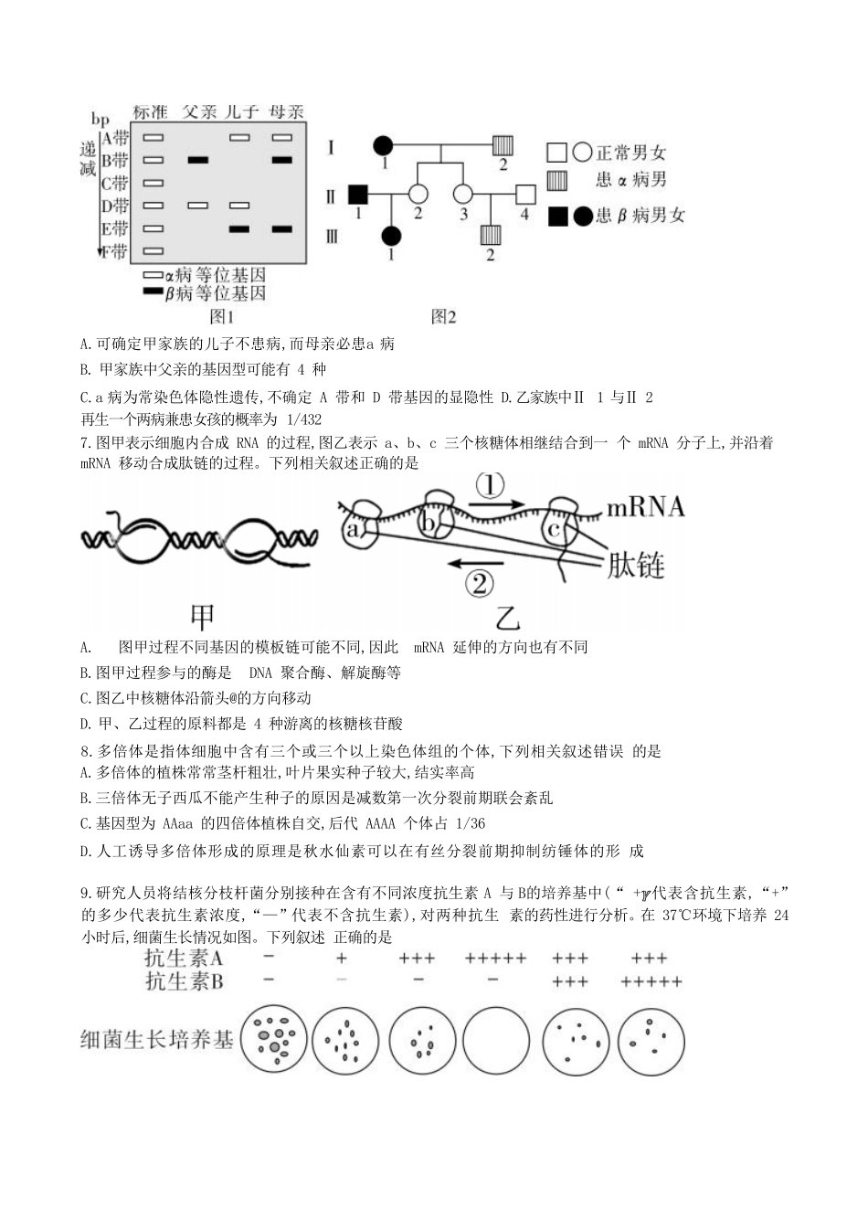 湖南省长沙市第一中学2024-2025学年高一下学期期末考试生物试卷（含解析）.pdf_第3页