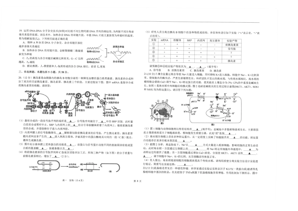 江苏省南通市海安高级中学2024-2025学年高一下学期6月阶段检测生物试卷(含答案).pdf_第3页