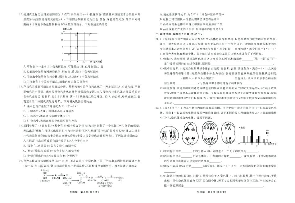 辽宁名校联盟2025年高一6月份联考-生物试卷.pdf_第3页