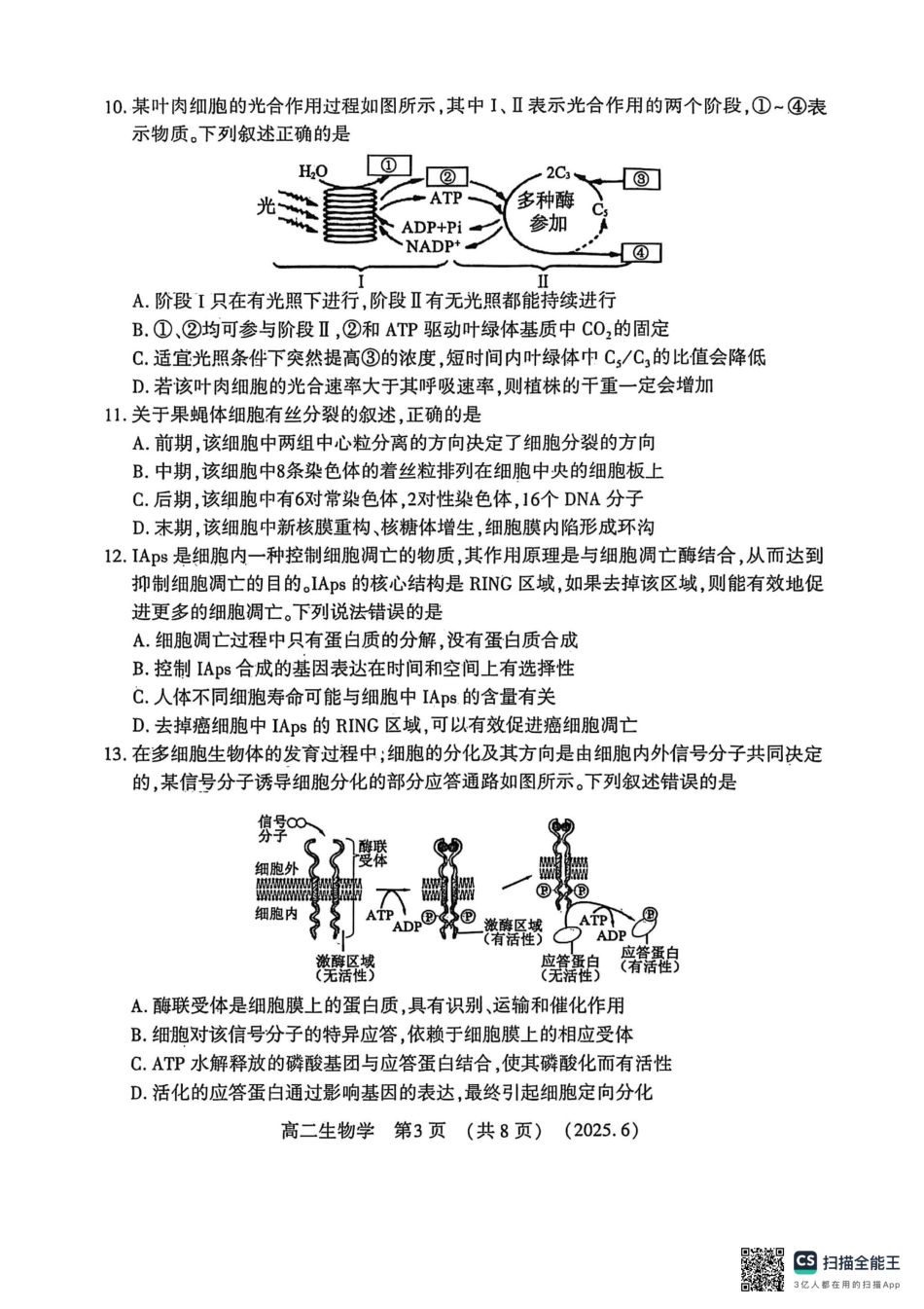洛阳2024-2025学年6月高二质量检测-生物试卷.pdf_第3页