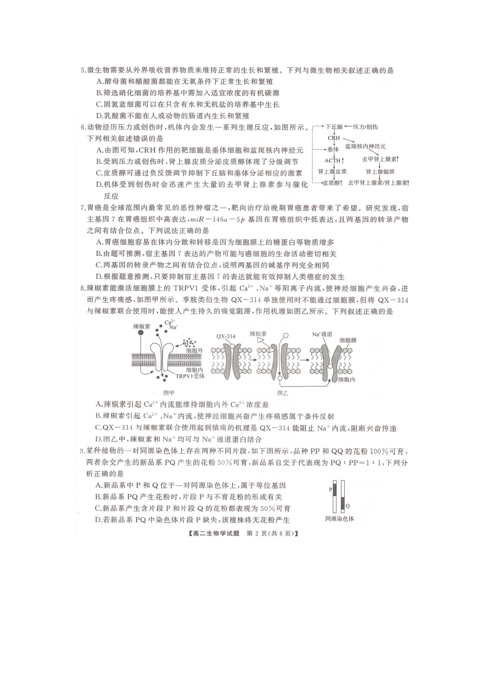 三湘名校教育联盟2024年下学期高二期末联考生物试卷.docx_第2页