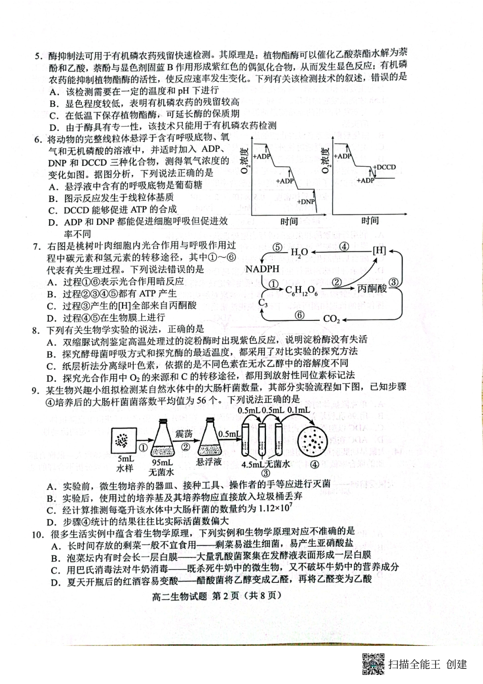 山东省菏泽市2023-2024学年高二下学期7月期末教学质量检测考试(7.10-7.12)生物试卷(A4版)+答案.pdf_第2页