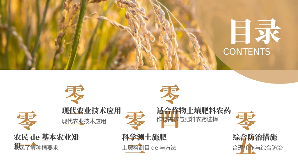 棕色麦穗背景的科技助力农业丰收模板.pptx_第2页