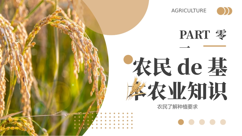 棕色麦穗背景的科技助力农业丰收模板.pptx_第3页