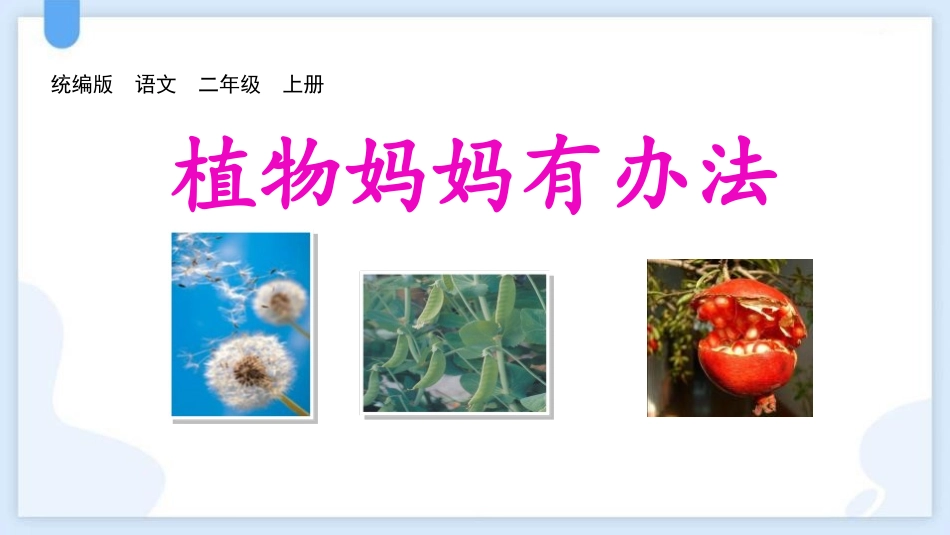 中小学人教版语文《植物妈妈有办法》优秀教学课件.pptx_第1页