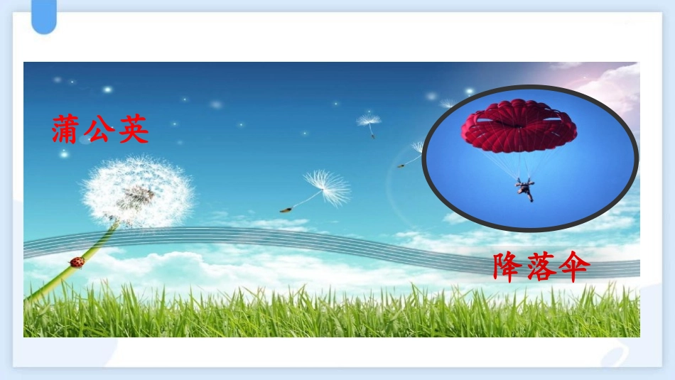 中小学人教版语文《植物妈妈有办法》优秀教学课件.pptx_第3页