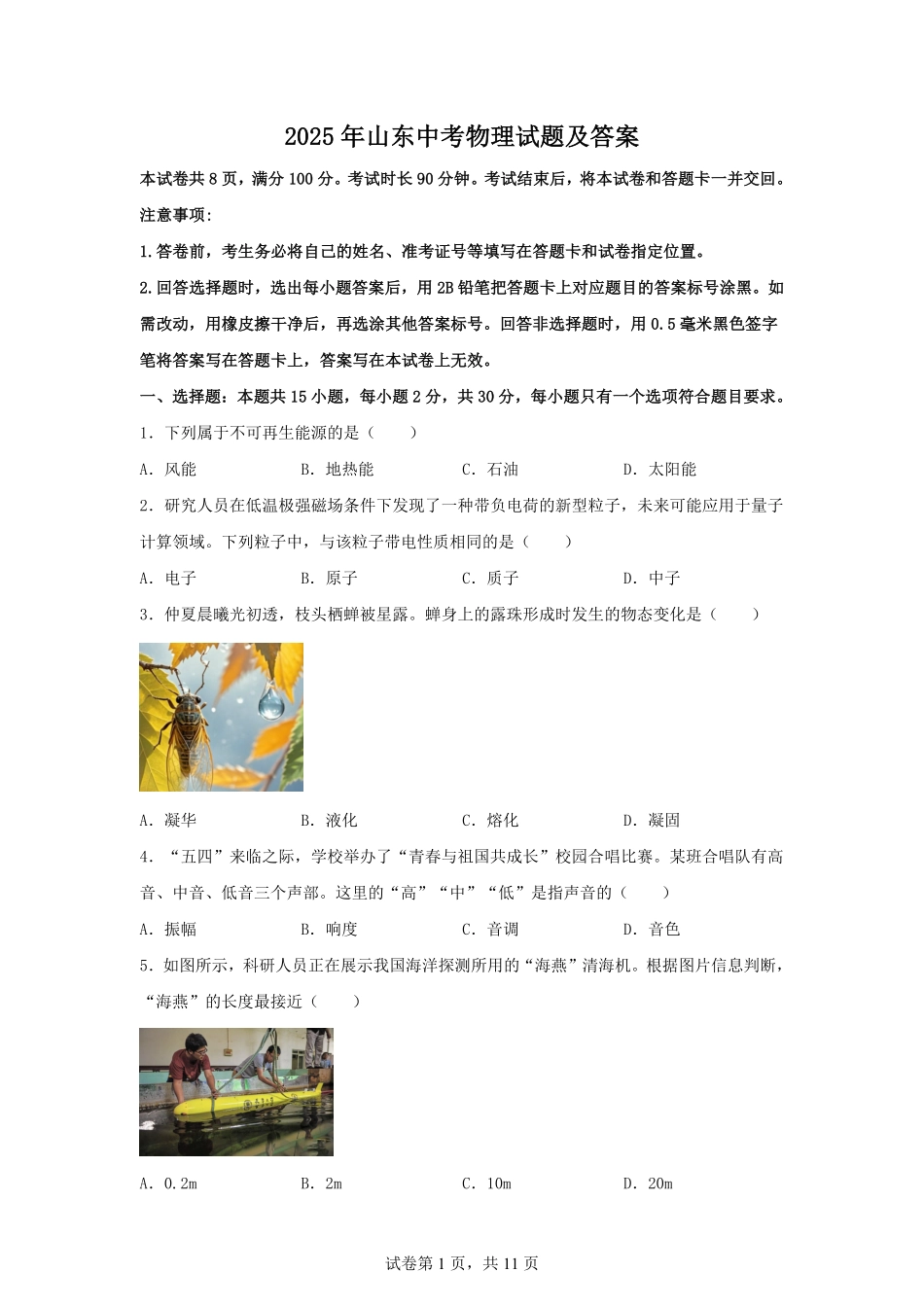 2025年山东中考物理试题及答案.pdf_第1页