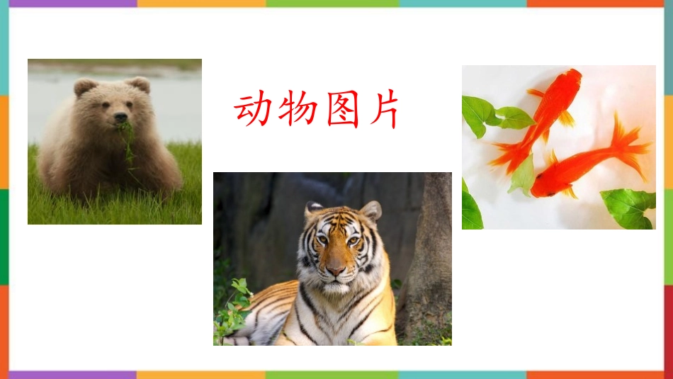 中小学人教版语文《小小“动物园”》教学课件.pptx_第3页