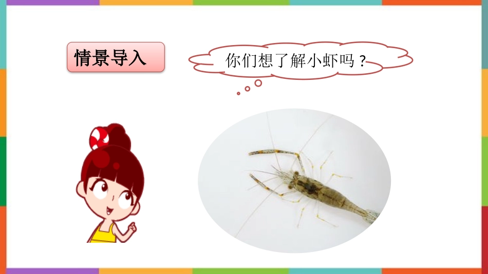 中小学人教版语文《小虾》精品教学课件.pptx_第3页