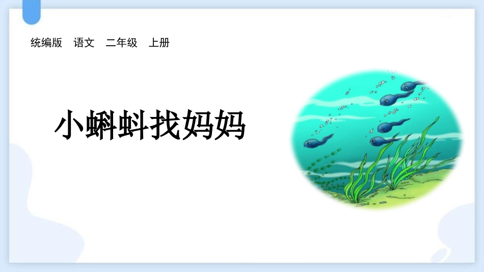 中小学人教版语文《小蝌蚪找妈妈》教学课件1.pptx_第1页