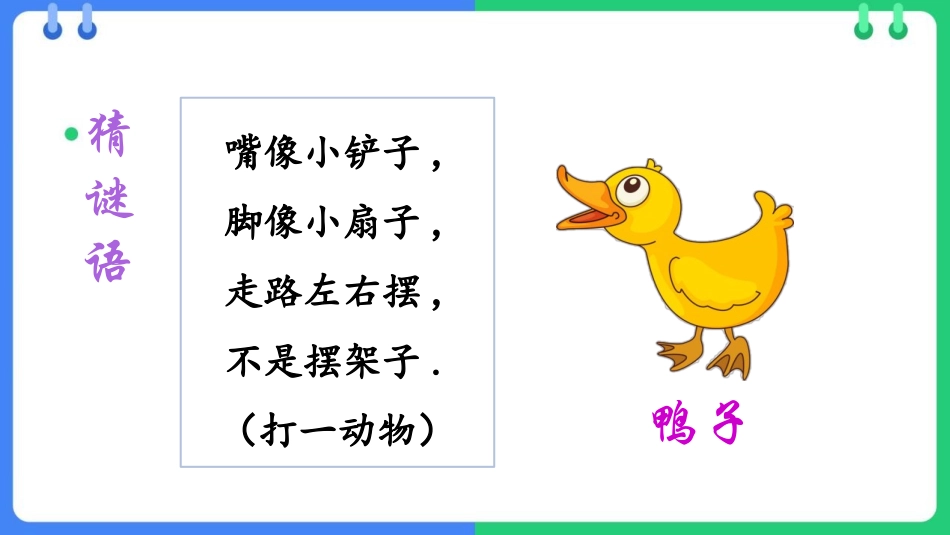 中小学人教版语文《小公鸡和小鸭子》精品教学课件.pptx_第3页