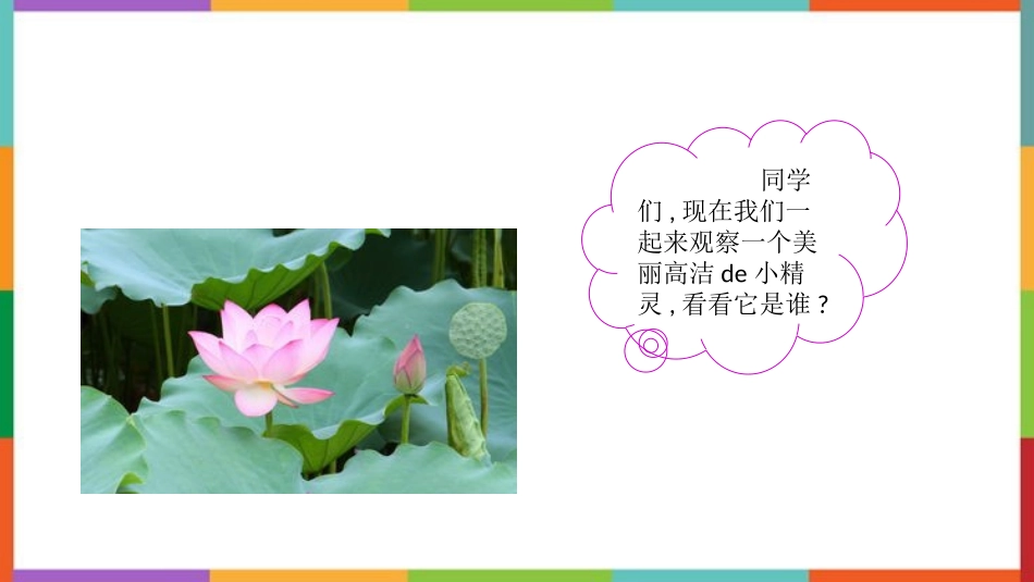 中小学人教版语文《我的植物朋友》教学课件.pptx_第2页