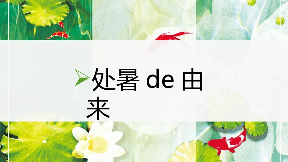 荷花西瓜处暑节气模板2.pptx_第3页