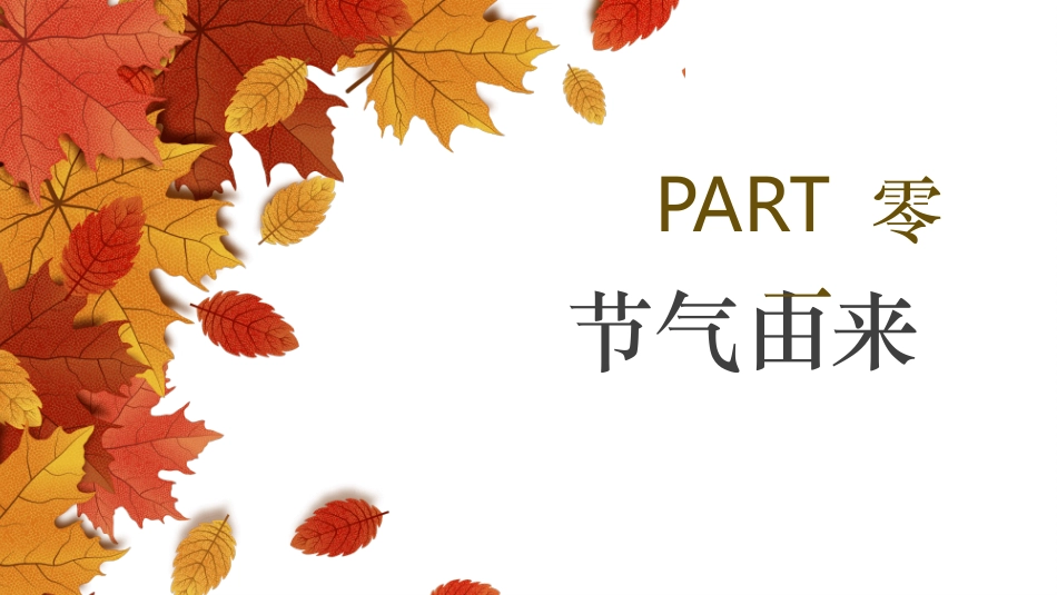 枫叶秋分节气介绍模板2.pptx_第3页