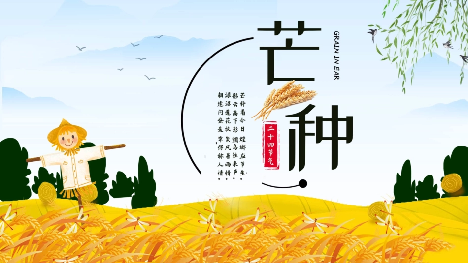 稻草人麦田芒种节气模板2.pptx_第1页