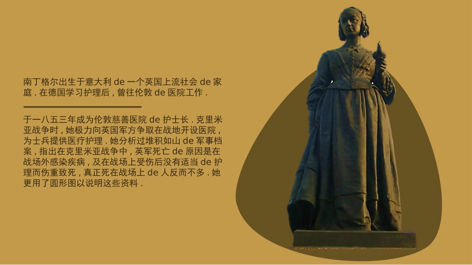 知名人物弗洛伦斯南丁格尔生平介绍PPT模板.pptx_第3页