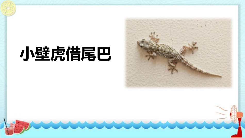 中小学人教版语文《小壁虎借尾巴》教学课件.pptx_第1页