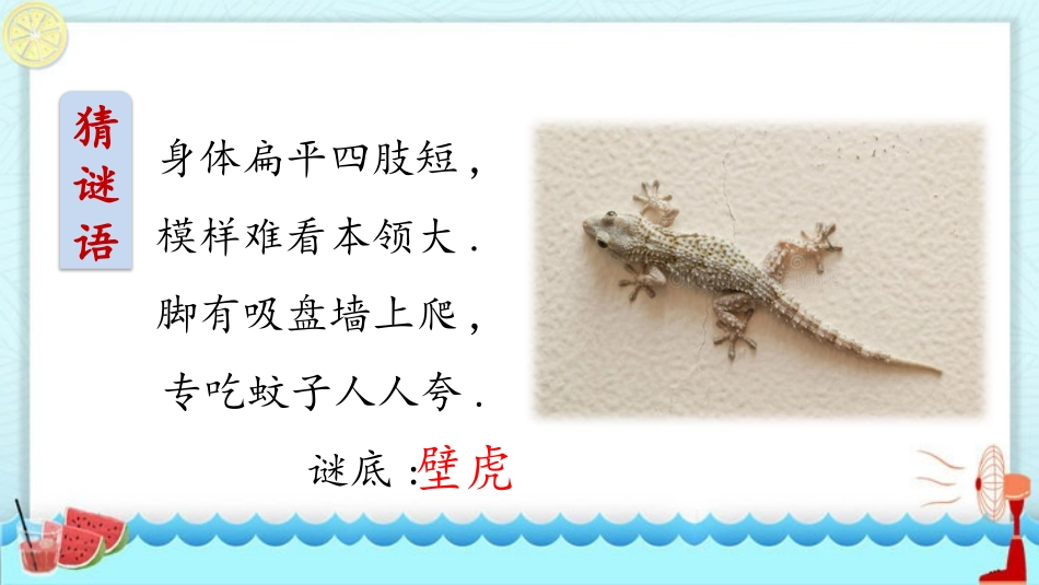 中小学人教版语文《小壁虎借尾巴》教学课件.pptx_第2页