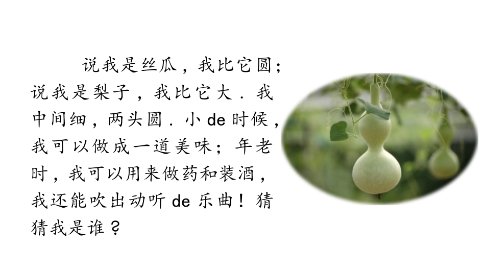中小学人教版语文《我要的是葫芦》教学课件1.pptx_第2页