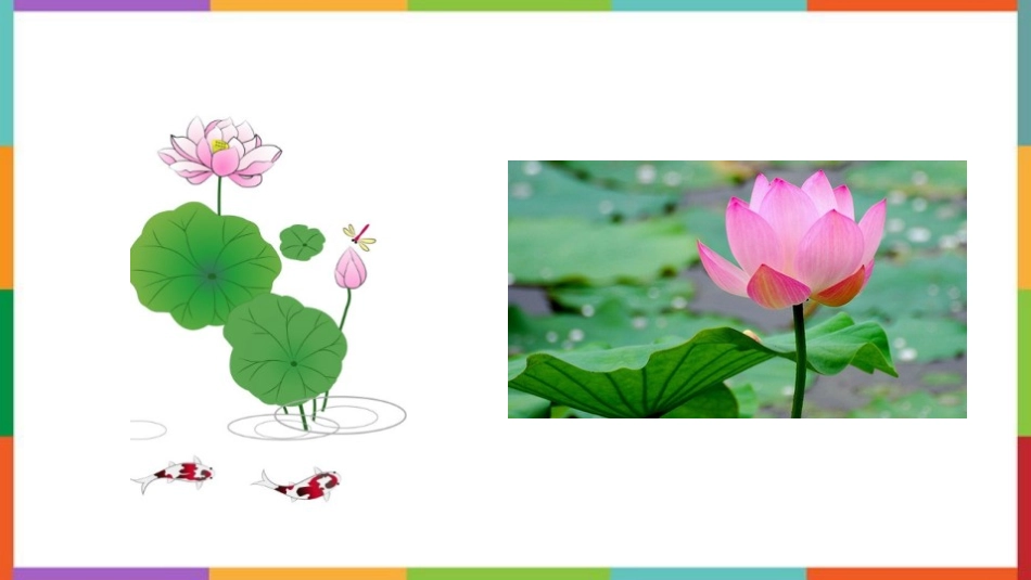 中小学人教版语文《荷花》教学课件1.pptx_第2页