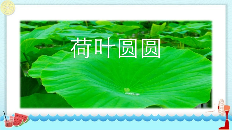 中小学人教版语文《荷叶圆圆》教学课件.pptx_第1页