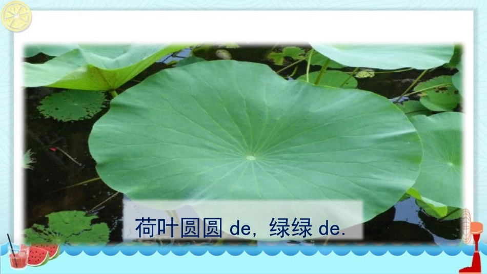 中小学人教版语文《荷叶圆圆》教学课件.pptx_第3页