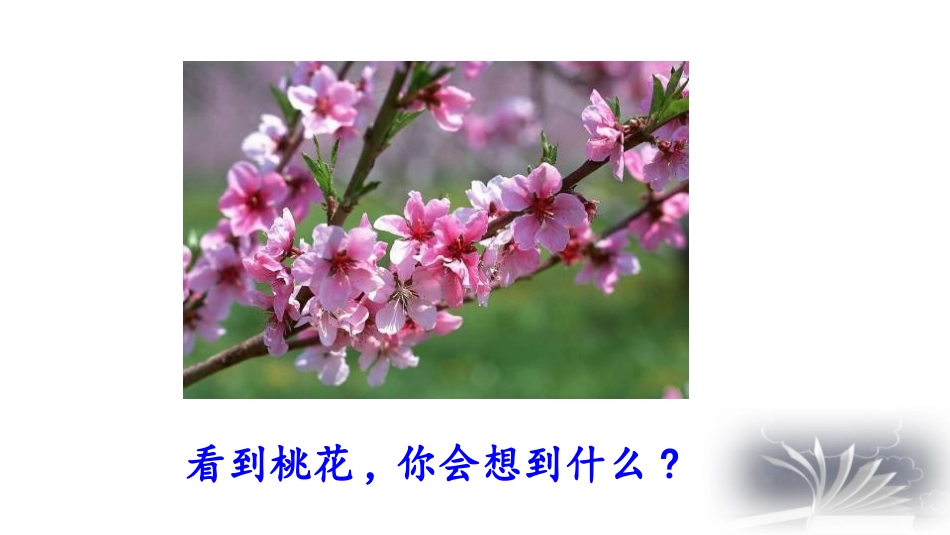 中小学人教版语文《驱遣我们的想象》教学课件1.pptx_第2页