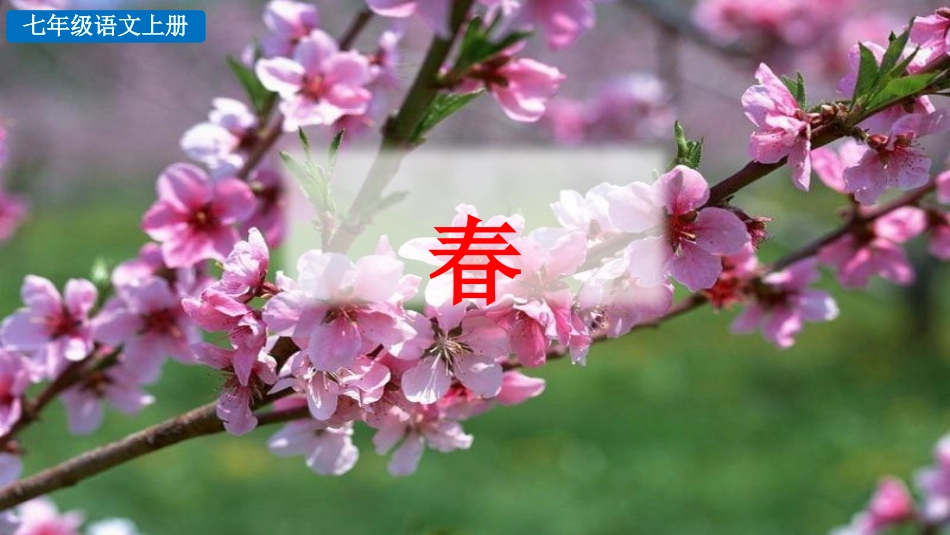 中小学人教版语文《春》教学课件2.pptx_第1页