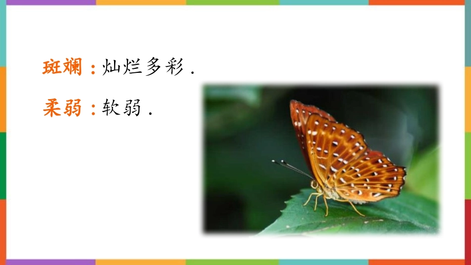 中小学人教版语文《蝴蝶的家》教学课件.pptx_第3页