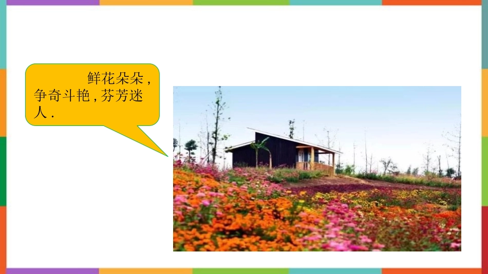 中小学人教版语文《花钟》教学课件.pptx_第3页