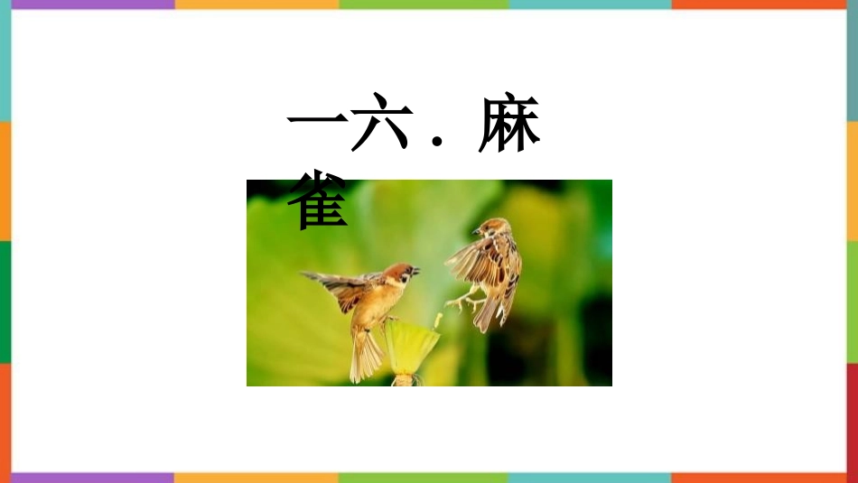 中小学人教版语文《麻雀》教学课件.pptx_第1页
