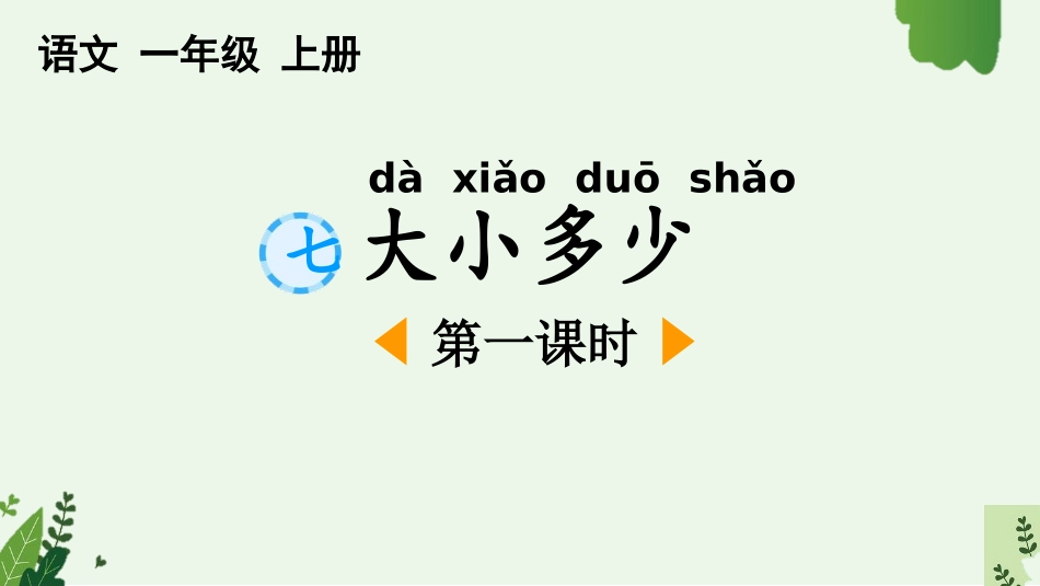 中小学人教版语文《大小多少》第1课时教学课件1.pptx_第1页