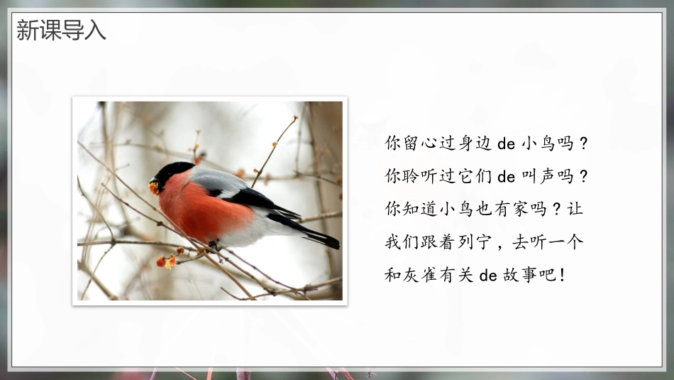 中小学人教版语文《灰雀》教学课件1.pptx_第2页