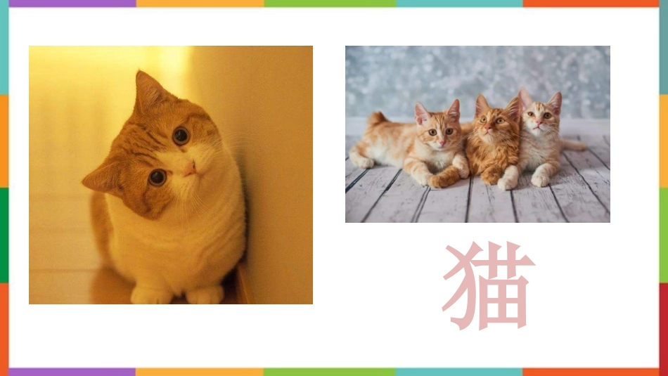中小学人教版语文《猫》教学课件.pptx_第1页