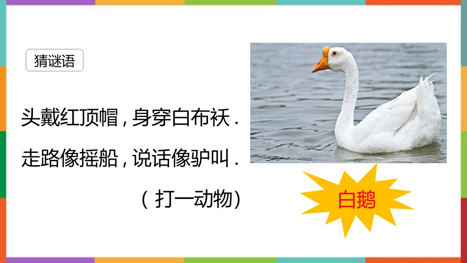 中小学人教版语文《白鹅》教学课件.pptx_第2页