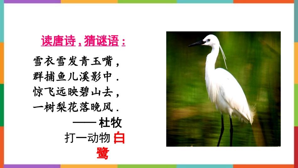 中小学人教版语文《白鹭》教学课件.pptx_第2页