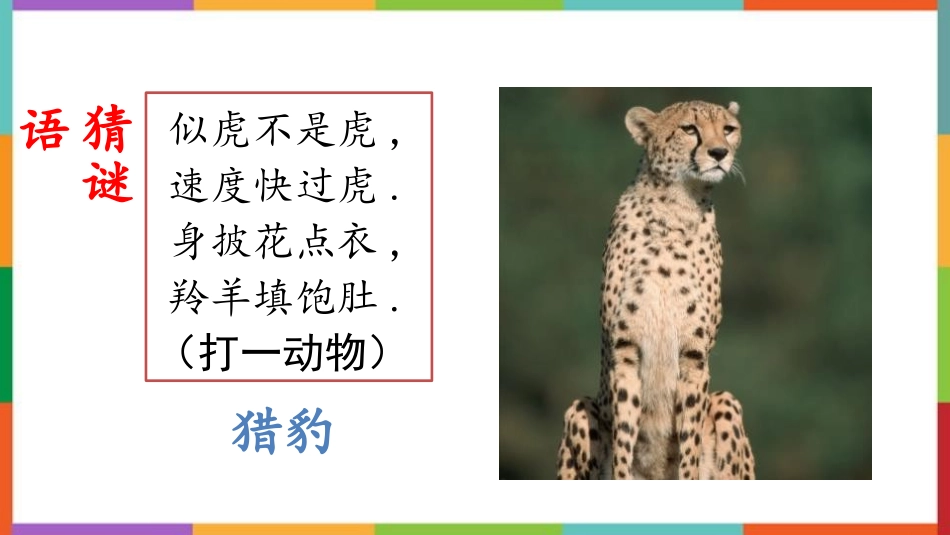 中小学人教版语文《什么比猎豹的速度更快》教学课件.pptx_第2页