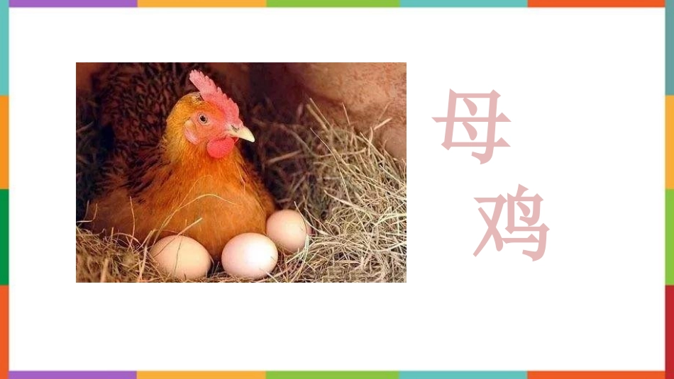 中小学人教版语文《母鸡》教学课件.pptx_第1页