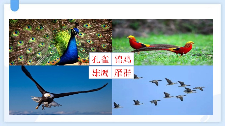 中小学人教版语文《拍手歌》教学课件.pptx_第3页