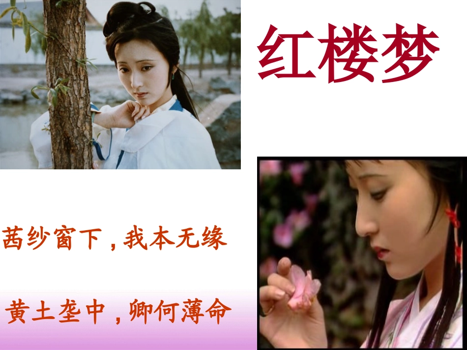四大名著红楼梦课件 53.pptx_第3页