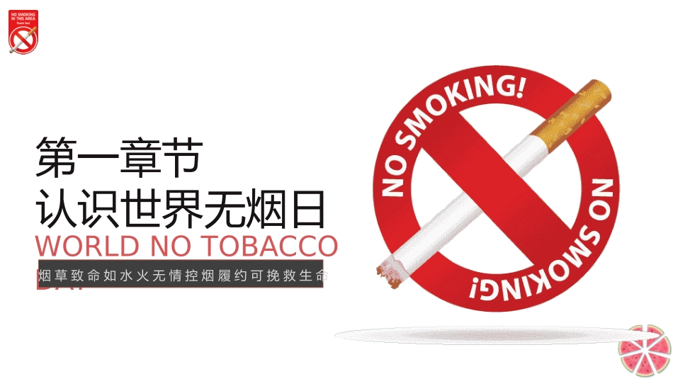 世界无烟日禁止吸烟主题班会11.pptx_第3页